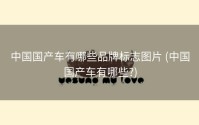 中国国产车有哪些品牌标志图片 (中国国产车有哪些?)