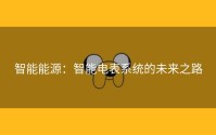 智能能源：智能电表系统的未来之路