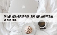 发动机机油标尺没有油,发动机机油标尺没有油怎么回事