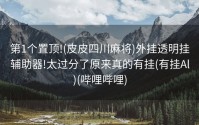 第1个置顶!(皮皮四川麻将)外挂透明挂辅助器!太过分了原来真的有挂(有挂Al)(哔哩哔哩)