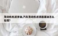 发动机机滤渗油,汽车发动机滤清器漏油怎么处理?