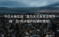 今日大神实测“真功夫究竟有没有外挂”(分析详细开挂辅助教程)