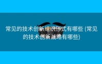 常见的技术创新组织形式有哪些 (常见的技术创新战略有哪些)