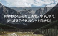 初学电脑0基础的应该怎么学 (初学电脑0基础的应该怎么学制作表格)