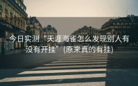 今日实测“天涯海雀怎么发现别人有没有开挂”(原来真的有挂)