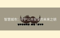 智慧城市：守护公共安全的未来之钥