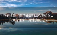 今日实测“葫芦娃哥们怎么发现别人有没有开挂”(原来真的有挂)