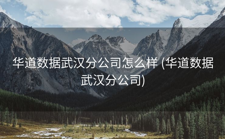 华道数据武汉分公司怎么样 (华道数据武汉分公司)
