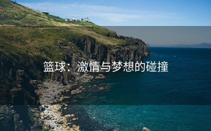 篮球：激情与梦想的碰撞