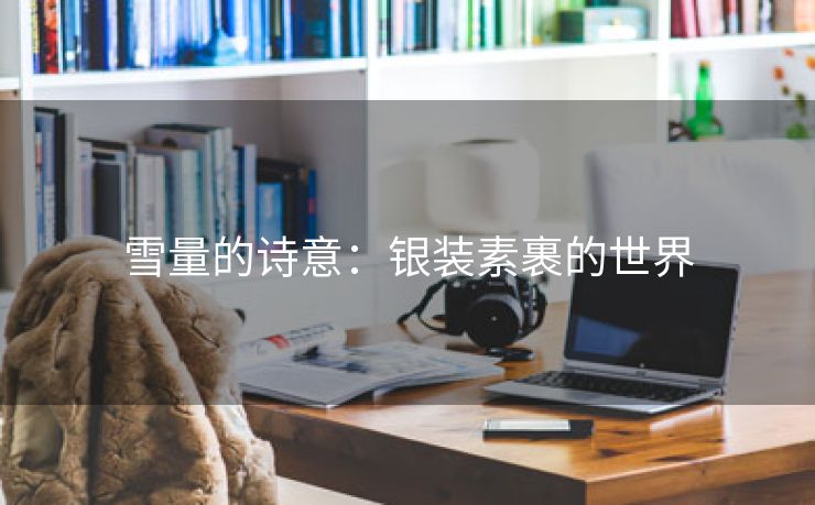雪量的诗意：银装素裹的世界