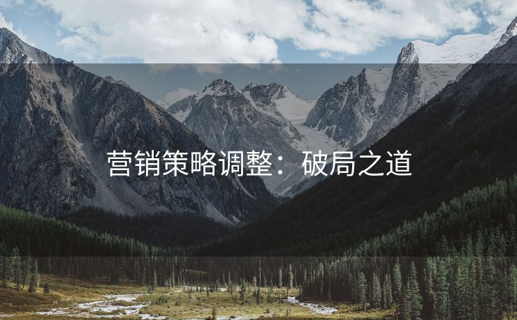 营销策略调整：破局之道