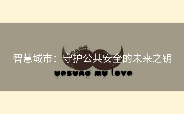 智慧城市：守护公共安全的未来之钥