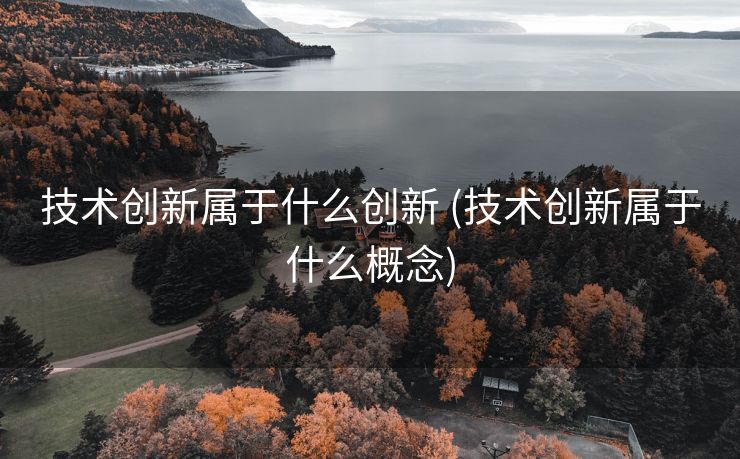 技术创新属于什么创新 (技术创新属于什么概念)