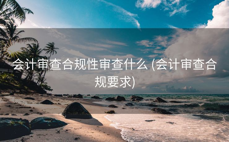 会计审查合规性审查什么 (会计审查合规要求)
