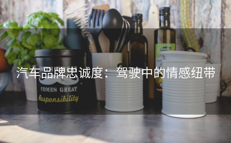 汽车品牌忠诚度：驾驶中的情感纽带