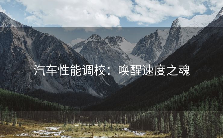 汽车性能调校：唤醒速度之魂