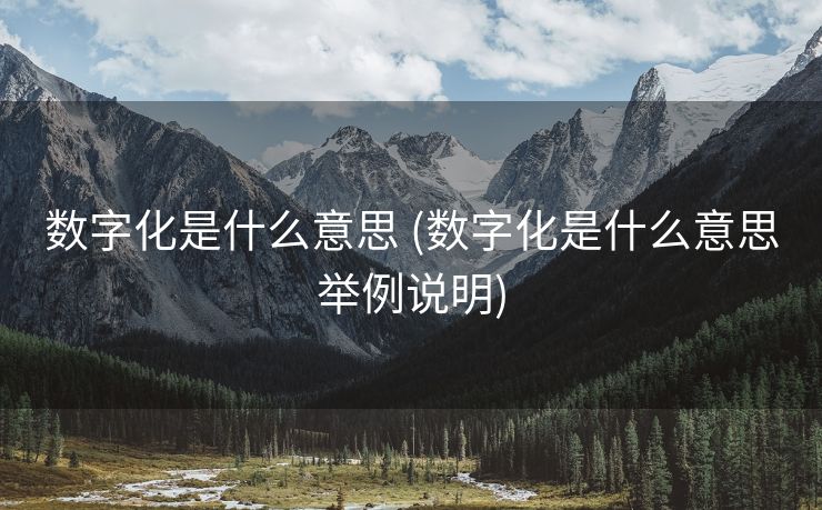 数字化是什么意思 (数字化是什么意思举例说明)