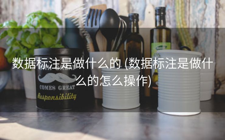 数据标注是做什么的 (数据标注是做什么的怎么操作)