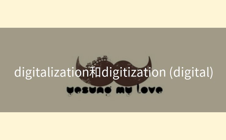 digitalization和digitization (digital)
