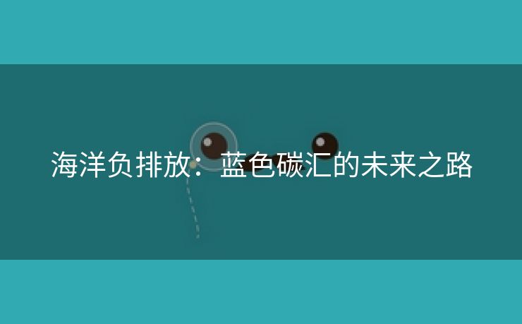 海洋负排放：蓝色碳汇的未来之路