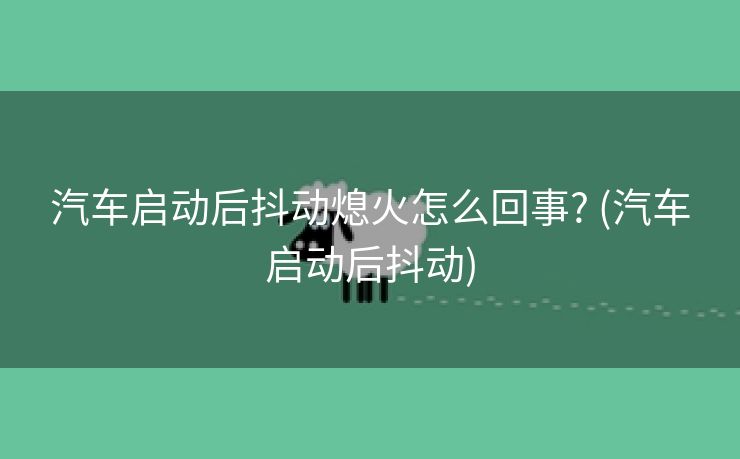 汽车启动后抖动熄火怎么回事? (汽车启动后抖动)