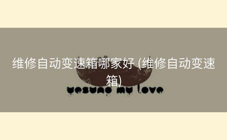 维修自动变速箱哪家好 (维修自动变速箱)