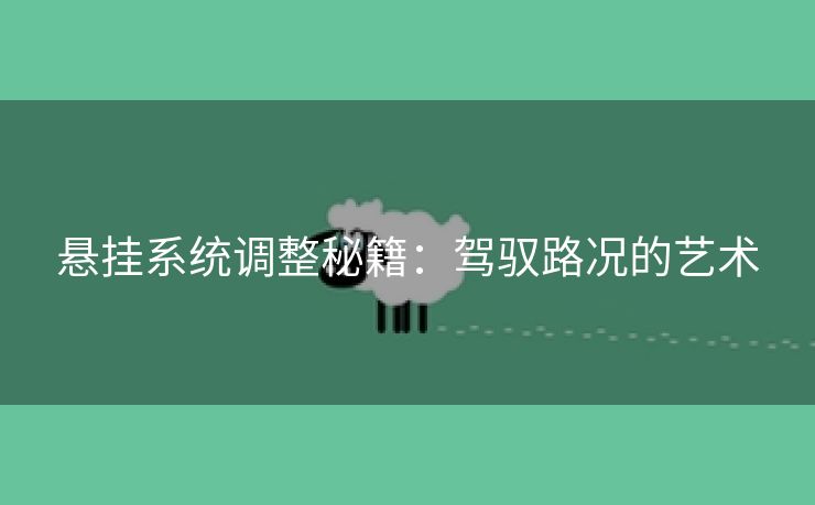 悬挂系统调整秘籍：驾驭路况的艺术