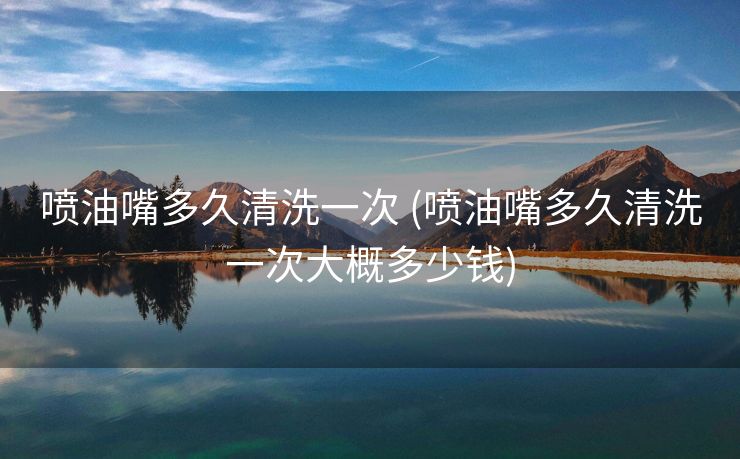 喷油嘴多久清洗一次 (喷油嘴多久清洗一次大概多少钱)