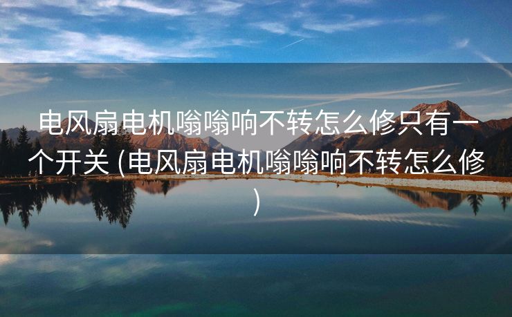 电风扇电机嗡嗡响不转怎么修只有一个开关 (电风扇电机嗡嗡响不转怎么修)