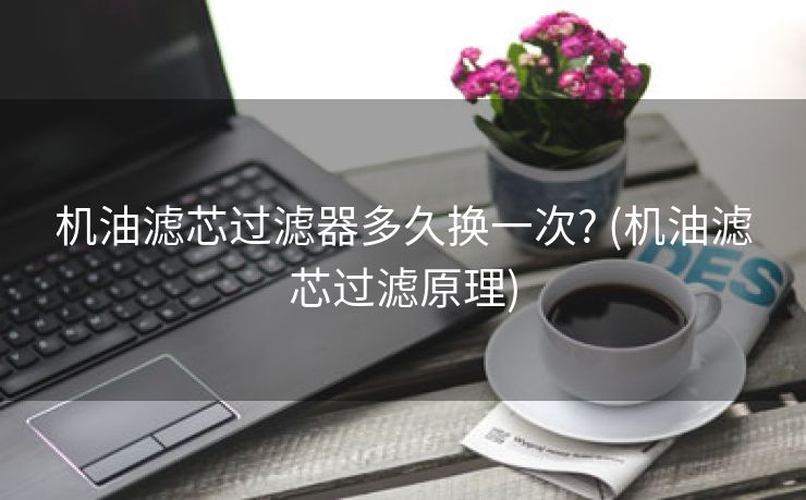 机油滤芯过滤器多久换一次? (机油滤芯过滤原理)