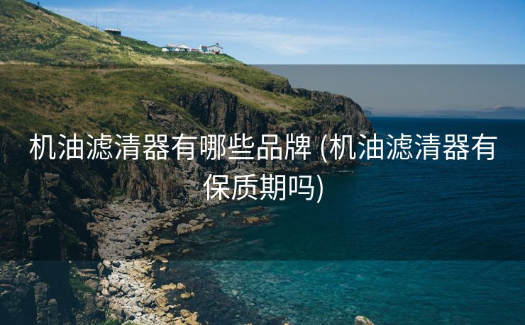 机油滤清器有哪些品牌 (机油滤清器有保质期吗)