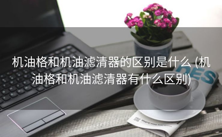机油格和机油滤清器的区别是什么 (机油格和机油滤清器有什么区别)