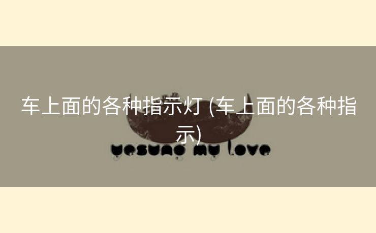 车上面的各种指示灯 (车上面的各种指示)