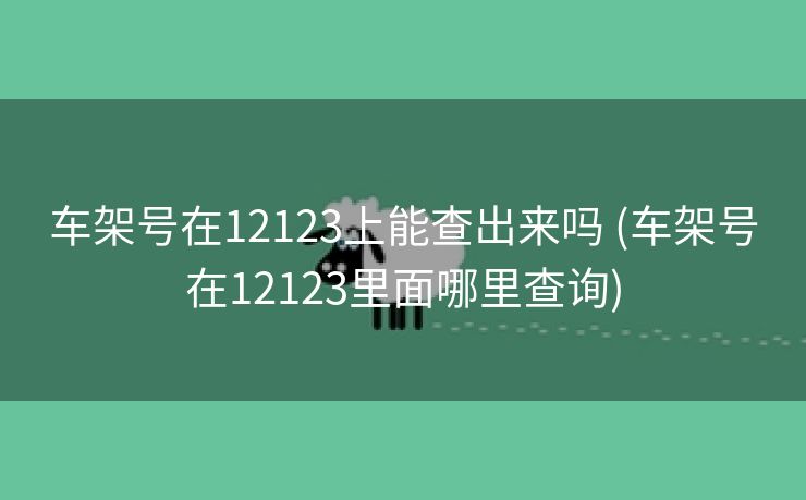 车架号在12123上能查出来吗 (车架号在12123里面哪里查询)