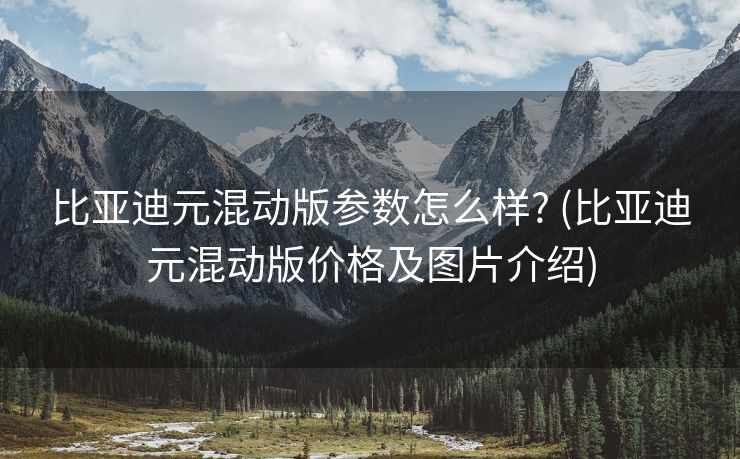 比亚迪元混动版参数怎么样? (比亚迪元混动版价格及图片介绍)