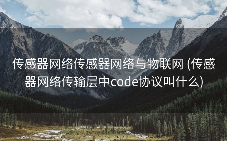 传感器网络传感器网络与物联网 (传感器网络传输层中code协议叫什么)