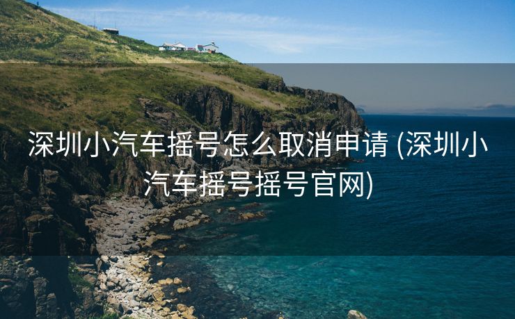 深圳小汽车摇号怎么取消申请 (深圳小汽车摇号摇号官网)