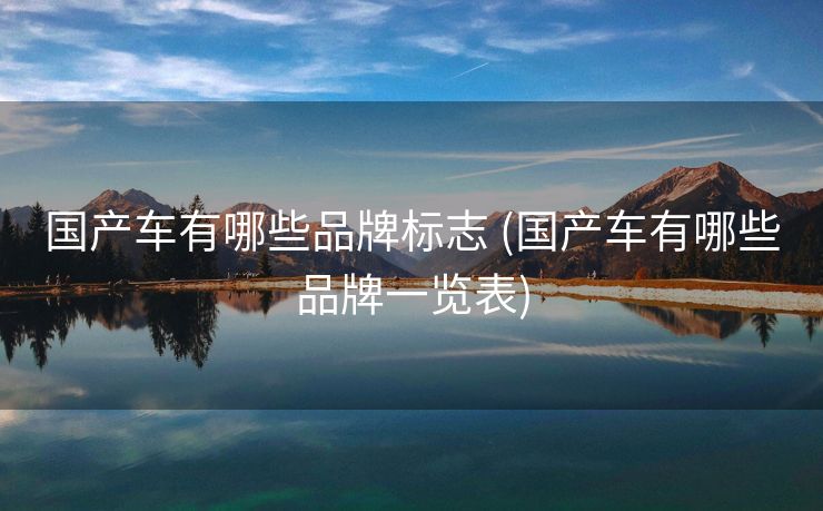 国产车有哪些品牌标志 (国产车有哪些品牌一览表)