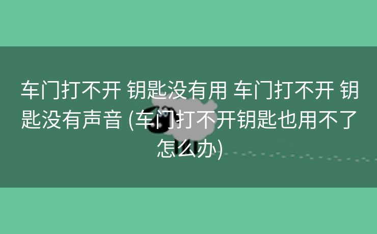 车门打不开 钥匙没有用 车门打不开 钥匙没有声音 (车门打不开钥匙也用不了怎么办)