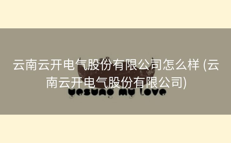 云南云开电气股份有限公司怎么样 (云南云开电气股份有限公司)