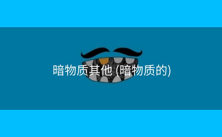 暗物质其他 (暗物质的)