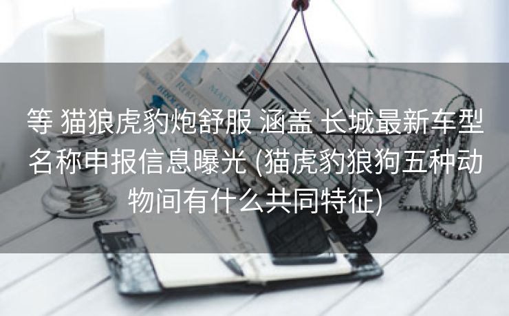 等 猫狼虎豹炮舒服 涵盖 长城最新车型名称申报信息曝光 (猫虎豹狼狗五种动物间有什么共同特征)