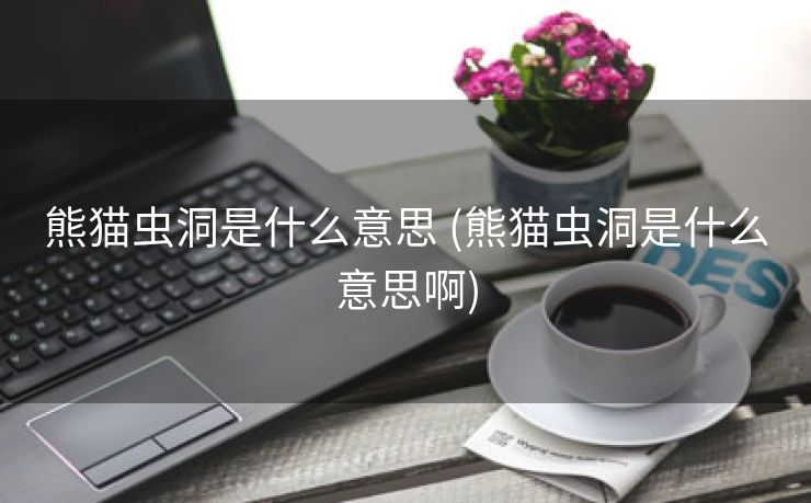 熊猫虫洞是什么意思 (熊猫虫洞是什么意思啊)