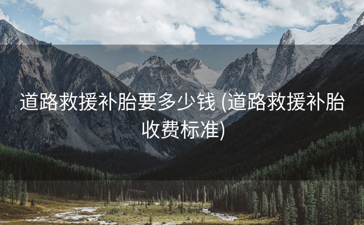 道路救援补胎要多少钱 (道路救援补胎收费标准)