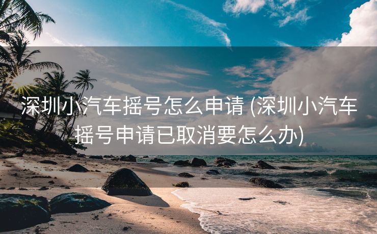 深圳小汽车摇号怎么申请 (深圳小汽车摇号申请已取消要怎么办)