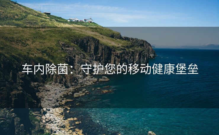 车内除菌：守护您的移动健康堡垒