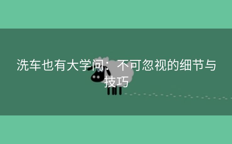 洗车也有大学问：不可忽视的细节与技巧