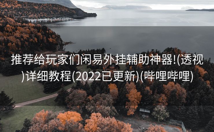 推荐给玩家们闲易外挂辅助神器!(透视)详细教程(2022已更新)(哔哩哔哩)