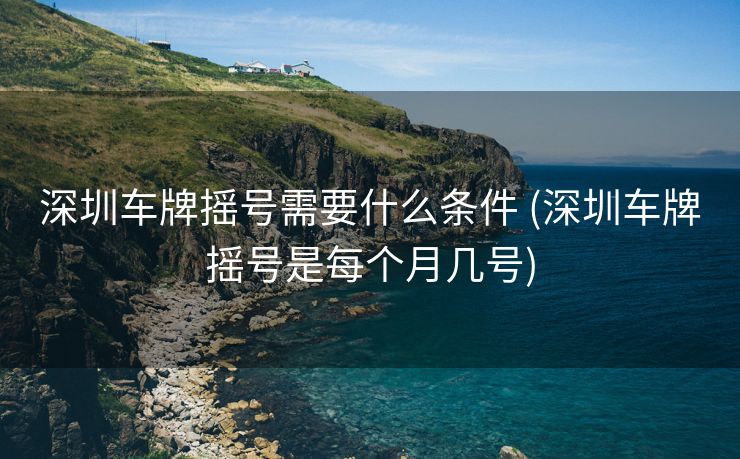 深圳车牌摇号需要什么条件 (深圳车牌摇号是每个月几号)