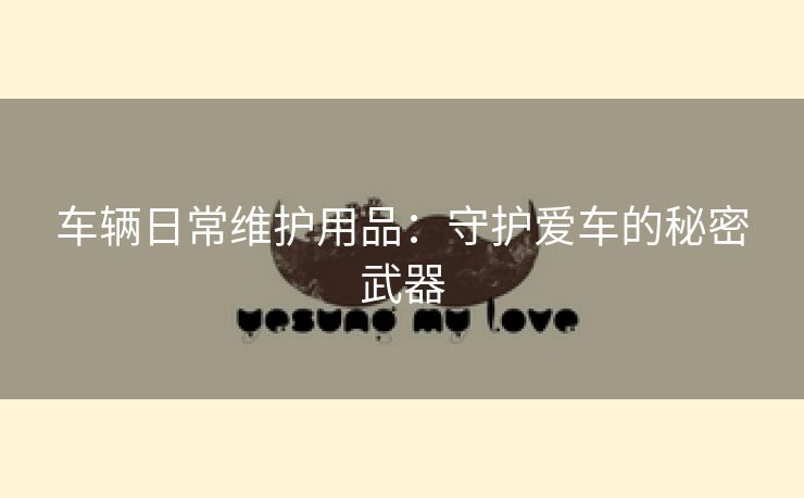 车辆日常维护用品：守护爱车的秘密武器
